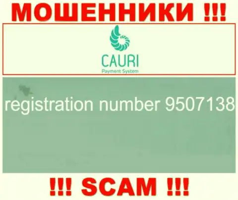 Регистрационный номер, который принадлежит неправомерно действующей конторе Каури: 9507138