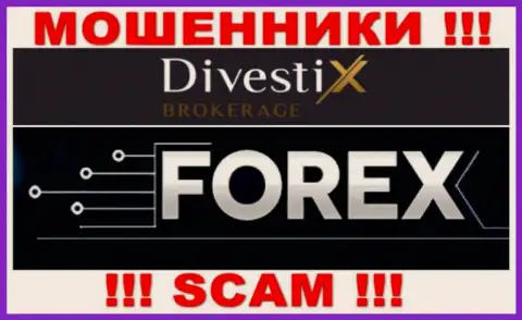 FOREX - это именно то на чем, якобы, профилируются интернет-мошенники Divestix