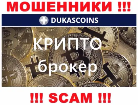 Тип деятельности internet воров DukasCoin - это Crypto trading, но имейте ввиду это разводняк !!!