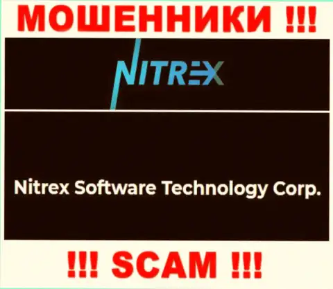 Сомнительная контора Nitrex в собственности такой же скользкой конторе Нитрекс Софтваре Технолоджи Корп