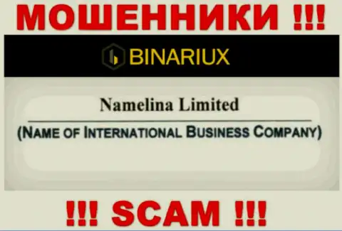 Бинариакс это internet ворюги, а руководит ими Namelina Limited