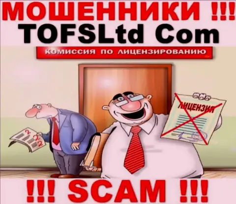 Сотрудничество с TOFSLtd будет стоить вам пустых карманов, у данных internet мошенников нет лицензии