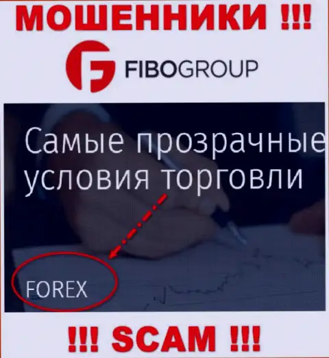Фибо-Форекс Ру занимаются обуванием наивных людей, промышляя в направлении FOREX