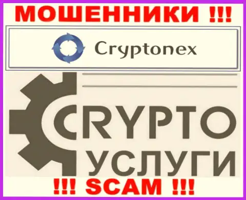 Сотрудничая с CryptoNex, область деятельности которых Криптовалютные услуги, можете остаться без денежных активов