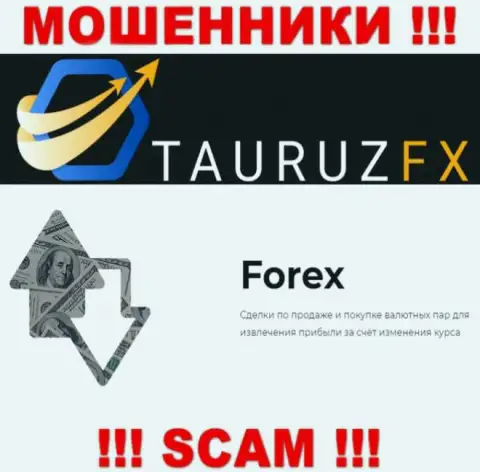 Forex - это именно то, чем занимаются internet-лохотронщики Tauruz FX