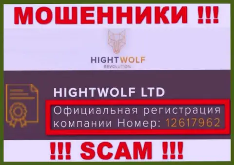 Наличие номера регистрации у HightWolf (12617962) не значит что компания надежная