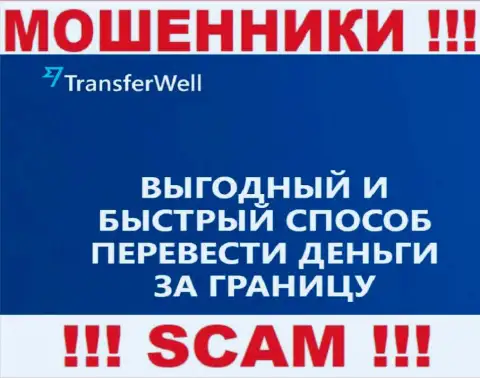 Не стоит верить, что деятельность TransferWell Net в направлении Платежная система законная