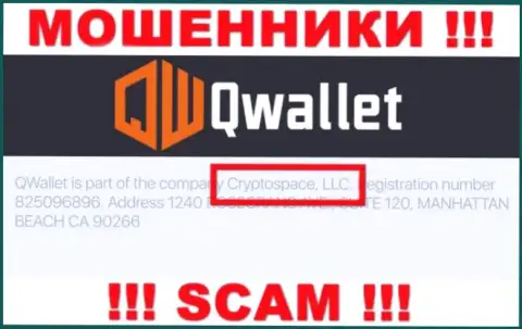 На официальном сайте Q Wallet написано, что данной конторой руководит Cryptospace LLC