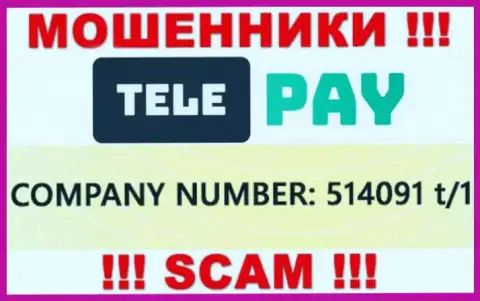 Номер регистрации TelePay, который размещен мошенниками на их сайте: 514091 t/1