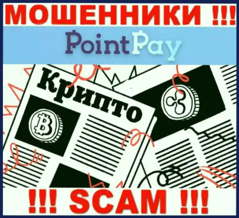 Point Pay LLC обманывают клиентов, прокручивая делишки в области - Крипто торговля