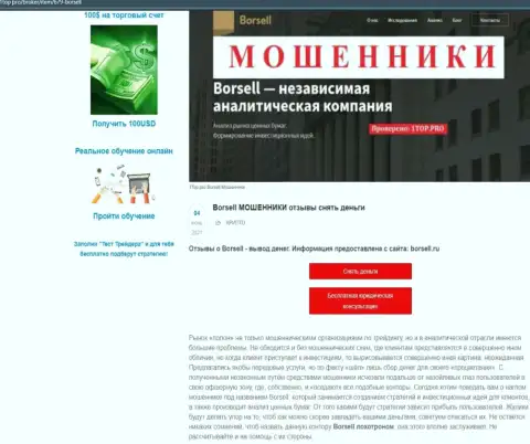 Обзор афер scam-проекта Borsell Ru - это ЖУЛИКИ !!!