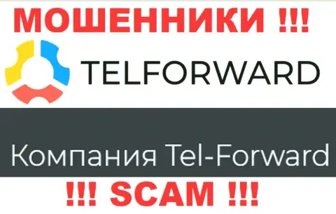 Юридическое лицо Тел-Форвард - это Tel-Forward, именно такую инфу показали мошенники на своем онлайн-сервисе