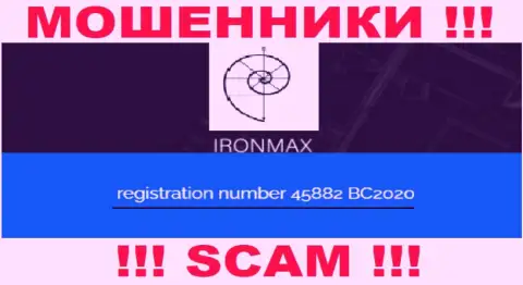 Регистрационный номер разводил сети internet организации Айрон Макс - 45882 BC2020