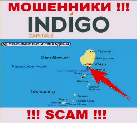 Разводилы Indigo Capitals зарегистрированы на территории - Kingstown, St Vincent and the Grenadines