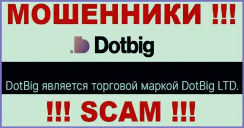 DotBig LTD - юридическое лицо internet-шулеров организация DotBig LTD