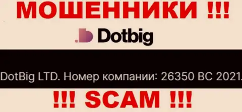 Регистрационный номер мошенников DotBig Com, размещенный ими на их информационном портале: 26350 BC 2021