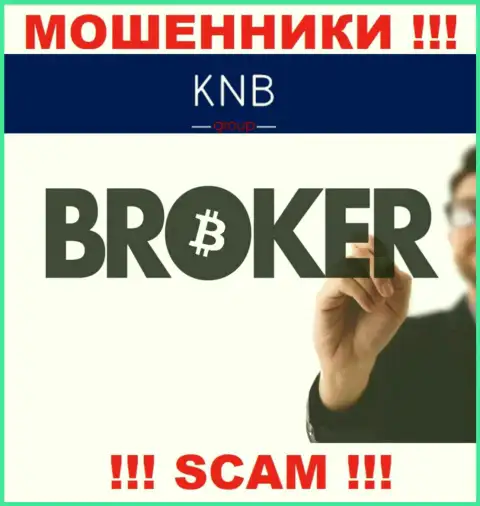Broker - конкретно в этом направлении предоставляют свои услуги internet ворюги KNB Group