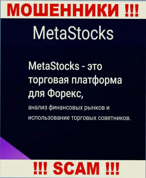 ФОРЕКС - в указанной области прокручивают делишки настоящие internet кидалы Meta Stocks