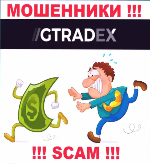 НЕ СТОИТ взаимодействовать с компанией G Tradex, указанные internet-обманщики все время воруют вложения валютных трейдеров