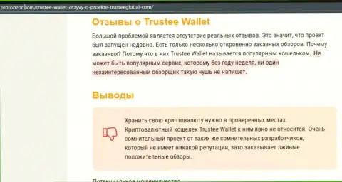 Trustee Wallet - это МОШЕННИКИ !!! Отжимают финансовые вложения доверчивых людей (обзор)
