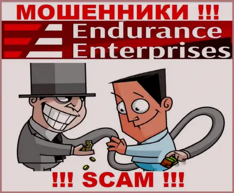 Прибыли с конторой Endurance Enterprises Вы не увидите - весьма опасно вводить дополнительно денежные активы