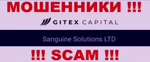 Юр лицо GitexCapital - это Сангин Солютионс ЛТД, такую инфу оставили мошенники у себя на сайте