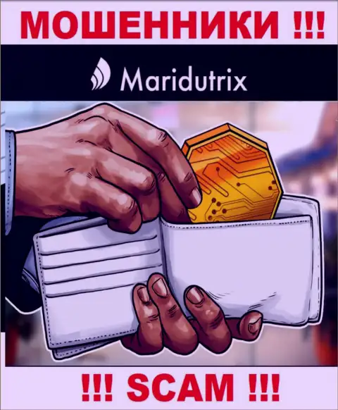 Криптовалютный кошелек - конкретно в указанной области орудуют ушлые мошенники Maridutrix