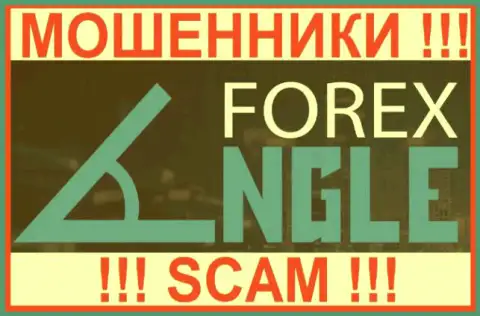 ForexAngle Com - это МОШЕННИКИ !!! SCAM !!!