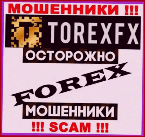 Сфера деятельности ТорексФХ: ФОРЕКС - отличный заработок для кидал
